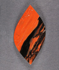 Dramatic Arizona Rainbow Wood Designer Cabochon  #21286