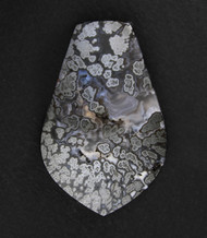 Gorgeous Silver Forest Psilomelane Plume Cabochon  #21290