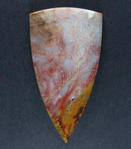 Gorgeous Grassy Mtn. Petrified Wood Designer Cabochon  #21296
