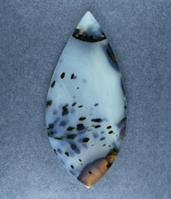 Montana Agate Designer Cabochon - Dramatic Dendrites  #21299