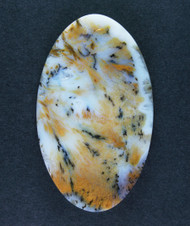 Gorgeous Designer Cabochon of Nipomo Sagenite Agate  #21301