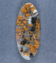 Fantastic Black and Gold Texas Moss Agate Cabochon  #21309