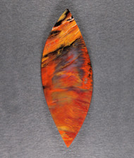 Dramatic Arizona Rainbow Wood Designer Cabochon  #21323