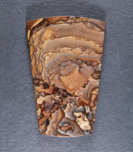 Deschutes Picture Jasper Designer Cabochon - Old Stock  #21326