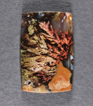 Amazing Priday Plume Agate Designer Cabochon  #21340