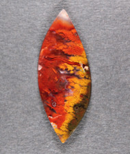 Rare! Dramatic Red and Yellow Bullion Plume Cabochon  #21344