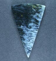 Exceptional Snake River Dendritic Agate Cabochon  #21357