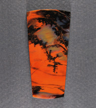 Dramatic Arizona Rainbow Wood Designer Cabochon  #21361