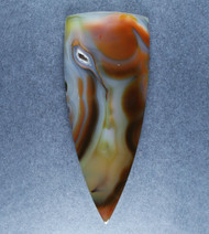 Big Beautiful Piranha Agate Designer Cabochon  #21388