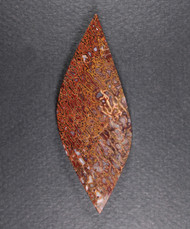 Beautiful Agatized Dino Bone Cabochon- Red and Orange  #21395