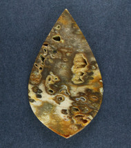 Pocket Rot Petrified Wood Designer Cabochon  #21428