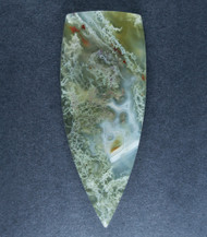 Exceptional Lucky Strike Moss Agate Cabochon   #21429