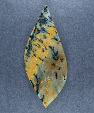 Exceptional Snake River Dendritic Agate Cabochon  #21444