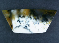 Gorgeous Old Stock Spanish Point Dendritic Agate Cabochon  #21452