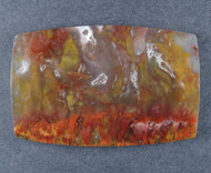 Dramatic designer cabochon of Bird of Paradise Plume  #21461