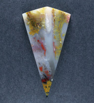 Gorgeous Grassy Mtn. Petrified Wood Designer Cabochon  #21464