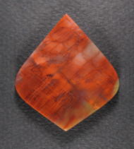 Dramatic Arizona Rainbow Wood Designer Cabochon  #21465