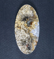 Old School Crazy lace Agate Cabochon-  Yellow and White  #21467