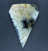 Exceptional Snake River Dendritic Agate Cabochon  #21492