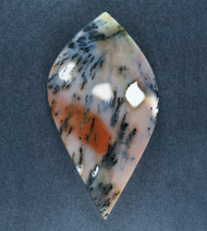 Exceptional Snake River Dendritic Agate Cabochon  #21507