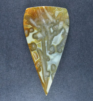 Gorgeous Indonesian Tube Agate Designer Cabochon  #21513