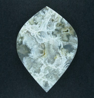 Top Shelf Bella Vista Plume Agate Designer Cabochon  #21527
