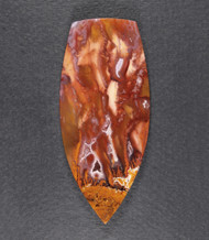 Exceptional designer cabochon of Bird of Paradise Plume  #21541