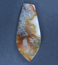 Rare! Gorgeous Designer Cabochon of Trent Agate  #21560