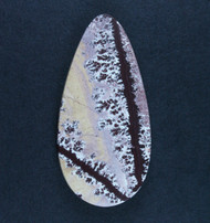Gorgeous Sonoran Dendritic Rhyolite Designer Cabochon  #21562
