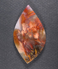 Dramatic designer cabochon of Bird of Paradise Plume  #21569