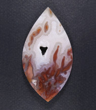 Dramatic Collectors Cabochon of Bird of Paradise Plume  #21571