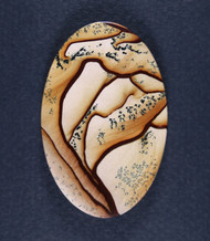 Deschutes Picture Jasper Designer Cabochon - Old Stock  #21580