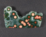 Dramatic Orange and Green Ocean Jasper Designer Cabochon  #21582