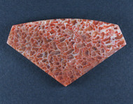 Beautiful Agatized Dino Bone Cabochon- Red and Pink   #21590