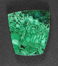 Bright Chrysocolla and Malachite Cabochon   #21599