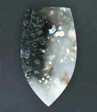Exceptional Snake River Dendritic Agate Cabochon #21613