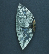 Beautiful Cabochon of Indo Marcasite in Black Agate  #21618