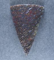 Multi-colored Gem Dinosaur Bone Cabochon- #21647