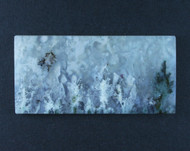 Gorgeous Green Desert Sage Plume Agate Cabochon  #21648