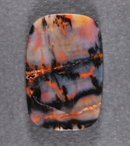 Dramatic Arizona Rainbow Wood Designer Cabochon  #21650