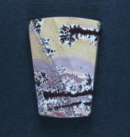 Gorgeous Sonoran Dendritic Rhyolite Designer Cabochon  #21658