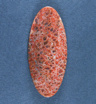 Beautiful Agatized Dino Bone Cabochon- Red and Pink   #21660