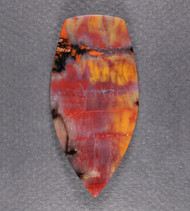 Dramatic Arizona Rainbow Wood Designer Cabochon  #21665