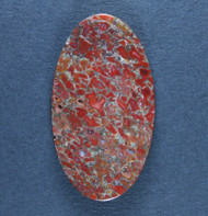 Beautiful Agatized Dino Bone Cabochon- Red, Orange and Black  #21680