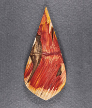 Colorful Chinchilla Petrified Wood Designer Cabochon  #21681
