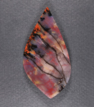 Dramatic Arizona Rainbow Wood Designer Cabochon  #21683