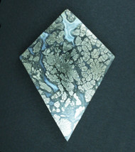 Big Beautiful Nipomo Marcasite Agate Collectors Cabochon   #21687