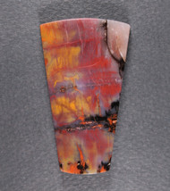 Dramatic Arizona Rainbow Wood Designer Cabochon  #21693