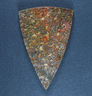 Gem Dinosaur Bone Cabochon- Great Colors  #21752