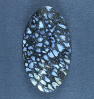 Pocket Rot Petrified Wood Designer Cabochon  #21762